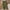 Army Green, variant on Simplmasygenix Women Casual Shorts Clearance Plus Size Spring And Elastic Waist Cotton Linen Versatile Straight Leg Pants Capris
