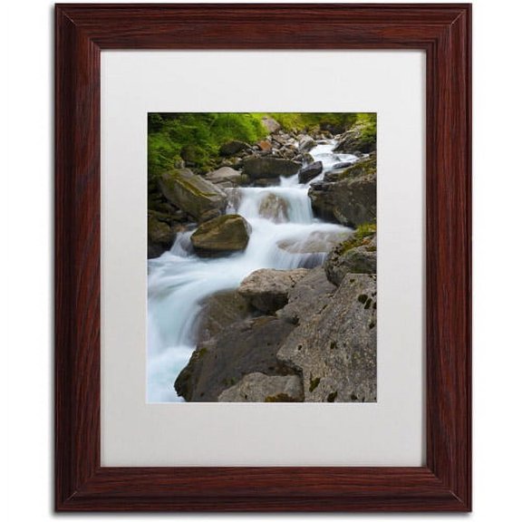 Trademark Fine Art "Wet Rocks" Canvas Art by Philippe Sainte-Laudy, White Matte, Wood Frame