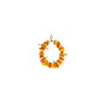 thumbnail image 2 of A&E Cage HB864 Tropical Delight - Fruit Ring, 2 of 2