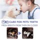 thumbnail image 4 of 3pcs Teeth Cleaning Spray for Dogs & Cats Pet Oral Bad Breath Plaque Remover Spray, 4 of 5