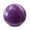violet, variant on lacooooppia Rhythmic Gymnastic Ball Gym Equipment Comfortable Professional 5.91inch Small rhythmic Ball for Workout Gym Training Practice violet