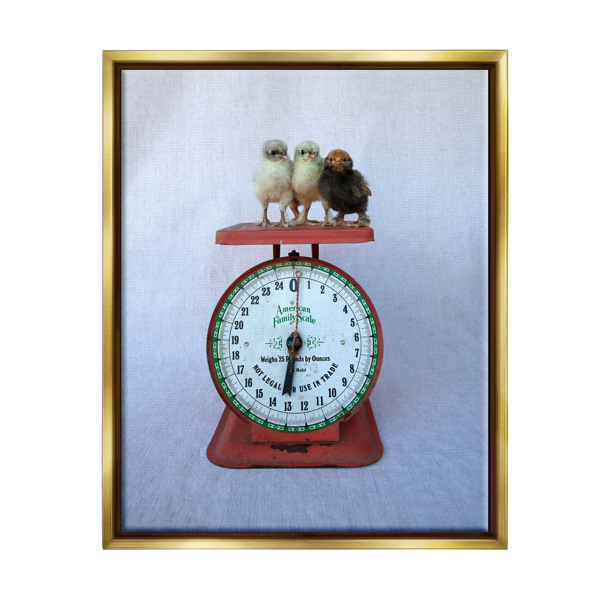 Stupell Industries Country Baby Chick Birds on Vintage Kitchen Scale Photograph Metallic Gold Floating Framed Canvas Print Wall Art, Design by Tania Soderman