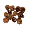 thumbnail image 2 of Fall Pinecones Decor, 12 Pcs/Set Pine Cones for Fall Thanksgiving DIY Craft Table Home Decor Ornaments, 2 of 5