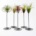 thumbnail image 5 of 3Pcs Air Stand Airplant Container Spiral Flower Stand Tillandsia Stand Holder Display Racks Garden Office Home Decoration ( Black ), 5 of 7