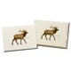 thumbnail image 3 of Juego de Tarjetas de Notas Earth Sky + Water 9x13 cm, 8 unidades, 3 of 3