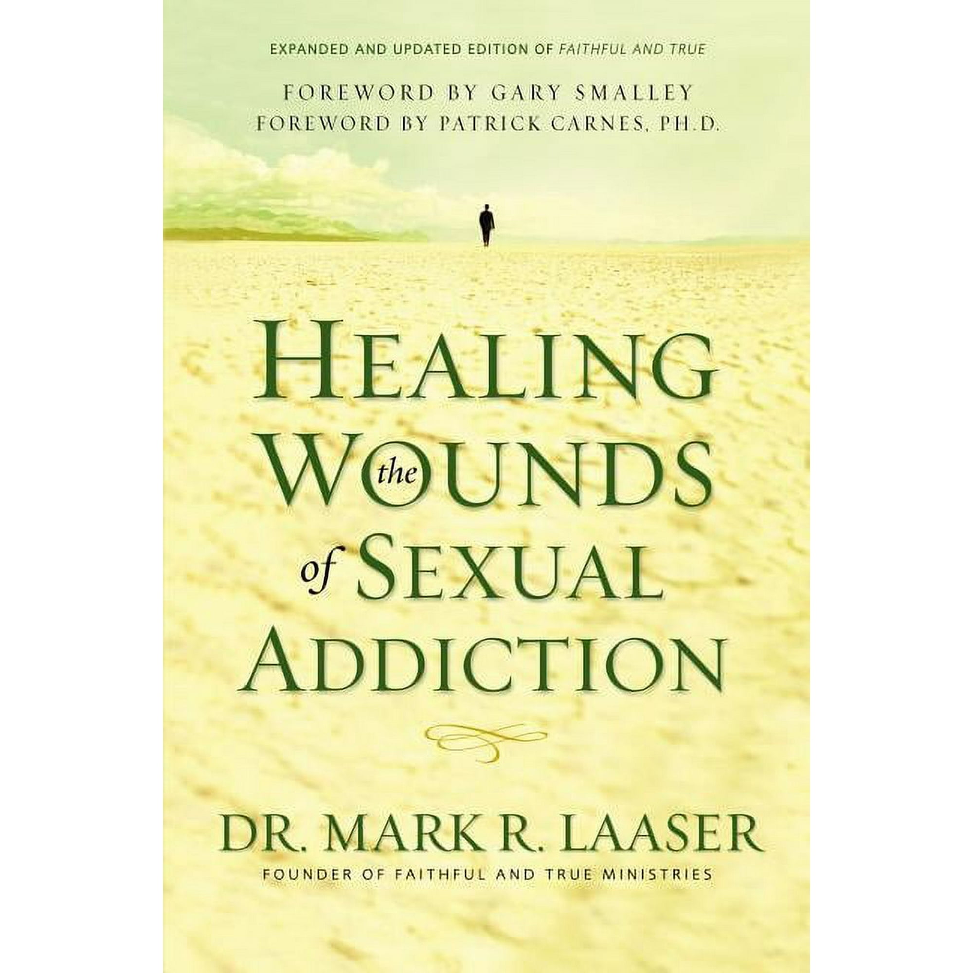 Healing the Wounds of Sexual Addiction: Discover the Practical and Spiritual Steps to Lasting Recovery, (Paperback)
