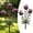 B, variant on Whimsical Metal Carnivorous Plant Garden Stake Large Venus Fly Trap Live Plant Sculpture Outdoor Yard Art Venus Flytrap Decor for Flower Beds Patios