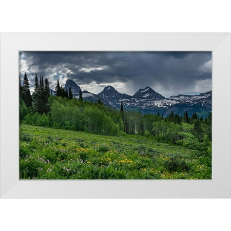 Garber, Howie 14x11 White Modern Wood Framed Museum Art Print Titled - USA-Wyoming-Geranium and arrowleaf balsamroot wildflowers in meadow-west side of Teton Mountains