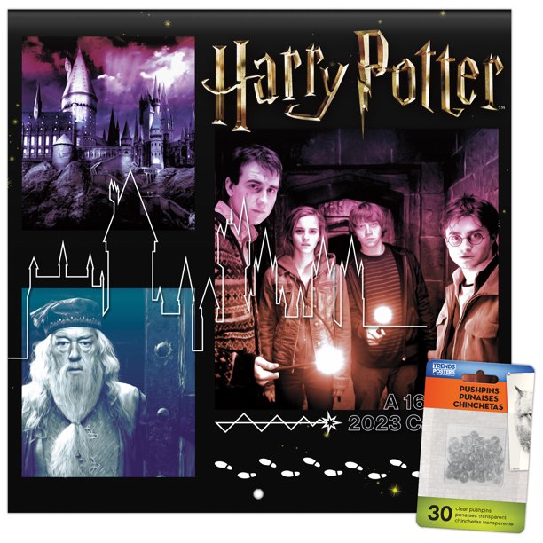 Trends International 2023 Harry Potter Wall Calendar & Pushpins -  Walmart.com
