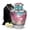 Cherry Blossom-3, variant on SABURIAL Cherry Blossom Cremation Keepsakes for Ashes - Memorial Urn Human Ash - Combo - 8 Inch Large with 3 Inch - Funeral Keepsakes for Ashes - Decorative Urn for Mom & Dad - Burial Urns for Adult