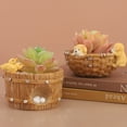 thumbnail image 4 of Clearance!Cute Animal Flowerpot Animal Resin Succulent Planter Desk Mini Ornament, 4 of 6