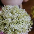 thumbnail image 4 of Bola de hierba artificial en maceta, simulación de hierba, decoración de plantas, decoración de la mesa de la oficina en casa, hierba tipo 3, blanco Advancent HA7593-03B, 4 of 6