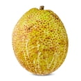 thumbnail image 3 of Fresh Breadfruit, Each, 3 of 3