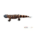 thumbnail image 4 of Texas Toy Distribution - Chameleon Blue-Green Plush Reptile 12" Stuffed Animal, 4 of 4