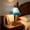 Sky Blue B, variant on Tiffany Style Floral Stained Glass Table Lamp,Colorful Flower Shade Desk Lamp with Antique Bronze Metal Base,Lamp for Bedroom, Living Room, Study & Coffee Shop Decor(7.9*14.2 in)C