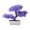 Purple-PP Home Decor, variant on karymi Decorative Potted Plants Simulation Flowers Indoor Home Furnishings Dining Table Arrangements Living Room TV Cabinet Potted Plants Gifts for Women Party Favors