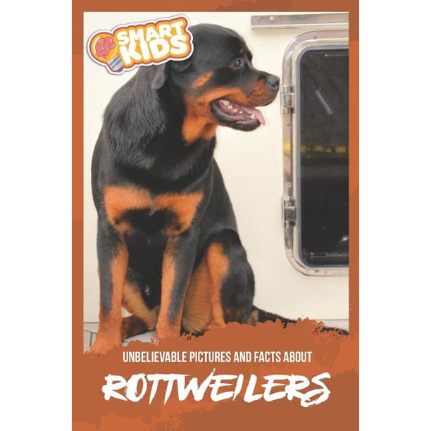How Smart Are Rottweilers Are Rottweilers Smart