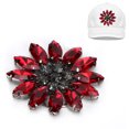 thumbnail image 1 of Clothing Accessories,  Glass Applique 2PCS Colorful Exquisite Workmanship  For Amateurs For Professional Designers Red,AB Color,Yellow,Light Blue,Light Green,Peacock Blue,Dark, 1 of 8