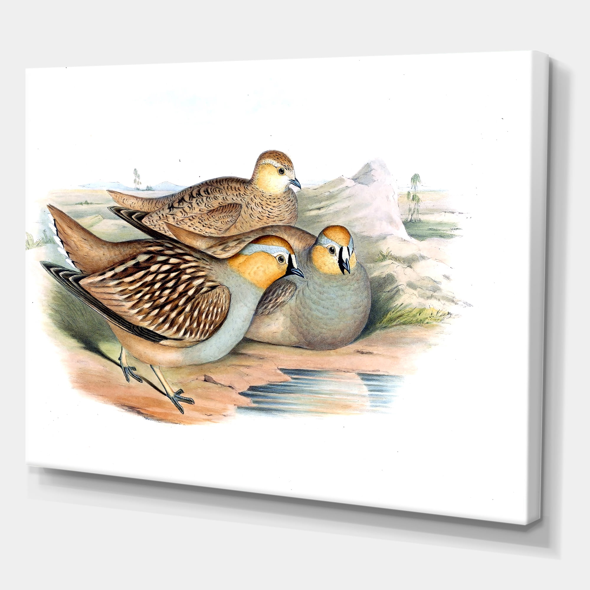 Designart ' Ancient Birds In The Wild III ' Traditional Canvas Wall Art Print