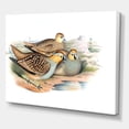 thumbnail image 3 of Designart ' Ancient Birds In The Wild III ' Traditional Canvas Wall Art Print, 3 of 4