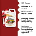 thumbnail image 3 of Spectracide Weed & Grass Killer, Non-Selective Herbicide with AccuShot Sprayer, 1.33 Gal., 3 of 12