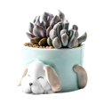 thumbnail image 1 of Ceramic Flowerpot Flowerpot Animal Cartoon Ceramic Multi-color Vertical Garden Pots for Home, 1 of 6