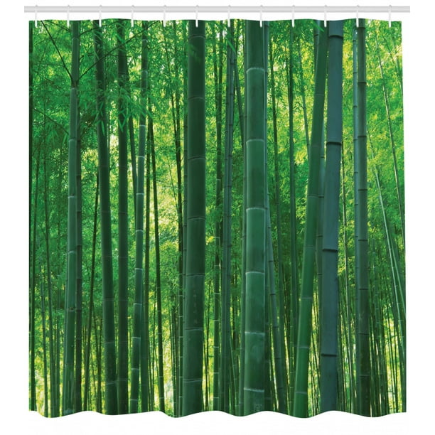 Bamboo Shower Curtain, Asian Oriental Exotic Bamboo Trees ...