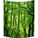 thumbnail image 1 of ABPHQTO Sueño increíble hermoso bosque verde fresco tapices de arte de pared decoración del hogar tapiz colgante de pared tamaño 100x150 cm ABPHQTO QB-SL-57-40x60, 1 of 1