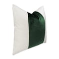 thumbnail image 2 of MICHAEL AMINI Caleb 21x21" Square Velvet Accent Pillow in Forest/White Set of 2, 2 of 4
