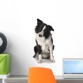 thumbnail image 1 of Border Collie Wall Decal by Wallmonkeys Peel and Stick Graphic (18 in H x 18 in W) WM195995, 1 of 4