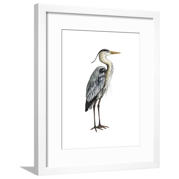 Sea Bird V, Animals Framed Art Print Wall Art by Grace Popp Sold by Art.Com