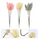 thumbnail image 1 of unbranded 18Ud Wheat Ear Natural Artificial Para Arreglos Y Centros De, 1 of 7