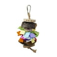 thumbnail image 3 of Prevue Playful Waikiki Delight Bird Toy, 3 of 3