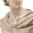 thumbnail image 5 of Benjara 13.5" Modern Marmag Antiquely Composed Placidia Bust Statue in Brown, 5 of 7