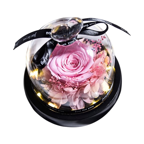 Preserved Rose with LED Light Birthday Gift for Women Forever Fresh Flowers for Prime Delivery Gift for Mom Grandma Wife Valentines Mothers Day Christmas Anniversary Eternal Roses in Glass Dome