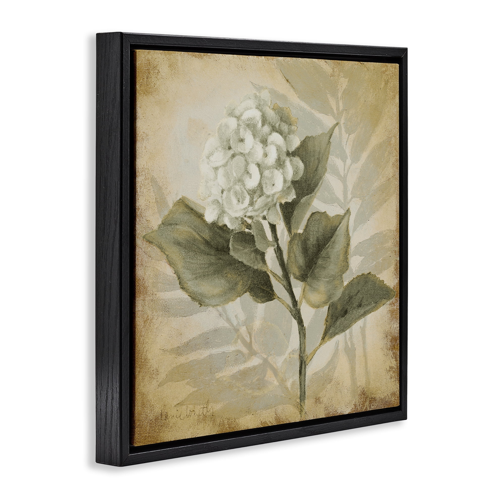 Stupell Industries Aubergine Hydrangea Impression Plants & Flowers Painting Black Floater Framed Canvas Art Print Wall Art, 18 x 18