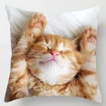 thumbnail image 2 of Housse de Coussin Carrée Douce Motif Animal Mignon Cat Dog en Polyester pour Salon Décoration Maison QZX, 2 of 7
