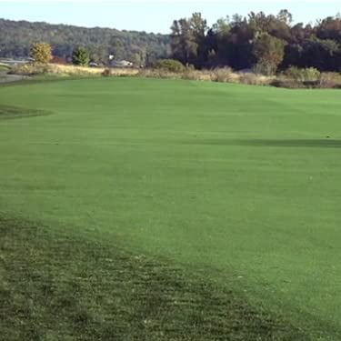 Outsidepride 5 lb. Crystal Bluelinks Creeping Bent Grass Putting & Golf Green Seed