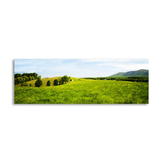 Gango Home Decor Contemporary Mountain Vista I by Alan Hausenflock (Printed on Paper); One 36x12in Fine Art Paper Giclee Print