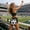 K, variant on Home Organization on Clearance! Fan Party Football Bags Fashion Handbag Evening Bags Personalized Crossbody Bag Themed Collectible Bag Diamond Studded Womens Bags Cannot Hold Cell Phone