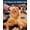 Blue, variant on Quiet Cat Clippers for Matted & Long Hair, 2-Speed Cordless Pet Shaver Grooming Kit for Cats, Small Dogs & Animals (Blue)