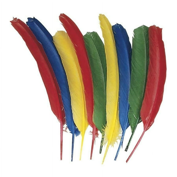Creativity Street Quill Feathers - Multipurpose - 24 Piece(s) - 24 / Pack - Multicolor | Bundle of 5 Packs