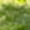 Green, variant on Unisex Kids Loose Camo Ankle Pants, Two-Tone Light Cargo Pants for Indoor Home Loungewear, Military Theme Party and Photography Shooting Green 160