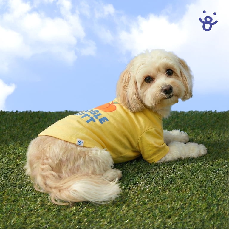 dog dress shirt White Cotton Club Dog Shirt