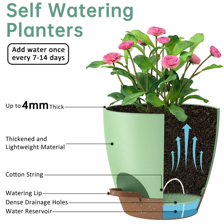 5 Pack Self Watering Plant Pots, Plastic Planters with Drainage Holes and  Saucers, Flower Pots for Indoor Outdoor Garden Plants, 7/6.5/6/5.5/5  InchGreen - Walmart.com
