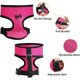 thumbnail image 4 of 3-pack, size M chicken harness with adjustable leash and breathable for pets, chicken harness for duck, goose, hen, 4 of 5