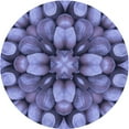 thumbnail image 1 of Ahgly Company Indoor Round Patterned Purple Mimosa Purple Area Rugs, 6' Round, 1 of 6