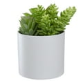 thumbnail image 3 of 5.5" Mixed Artificial Succulent Arrangement in a White Pot, 3 of 5