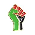 thumbnail image 1 of Maojin Broche con forma de bandera de Palestina, insignia de Metal, accesorios de ropa, insignia, 1 of 6