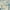 Ivory/Light Blue, variant on Nourison Passion Bohemian Ivory/Pink 5'3" x 7'3" Area Rug, (5x7)